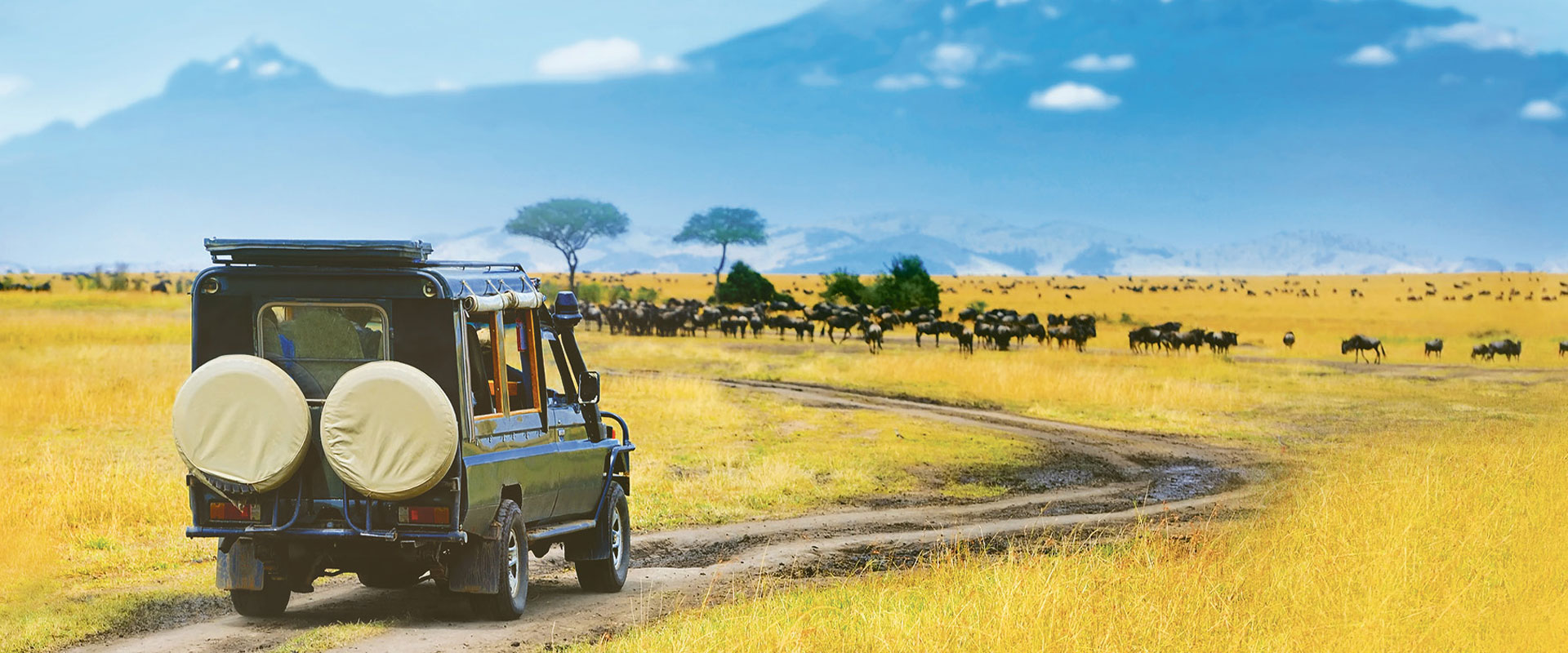 5 Days Safari In Tanzania