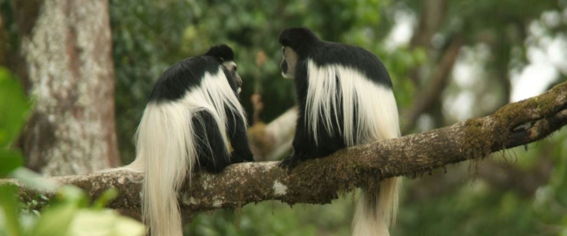 Arusha National Park