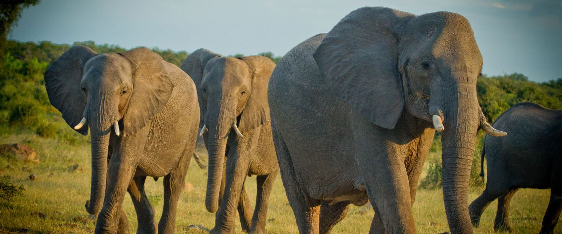 Lake Manyara
