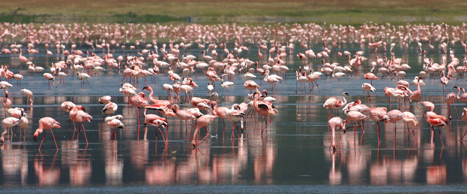 Ngorongoro Crater