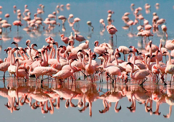 Lake Manyara
